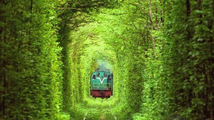 Tunnel de l'amour de Klevan : le lieu le plus romantique au monde est en Ukraine
