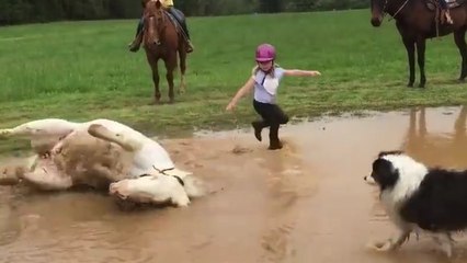 Ce poney décide de prendre son bain sans l'avis de sa cavalière