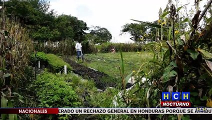 Descargar video: Derogación de las Zedes traería demandas millonarias al Estado