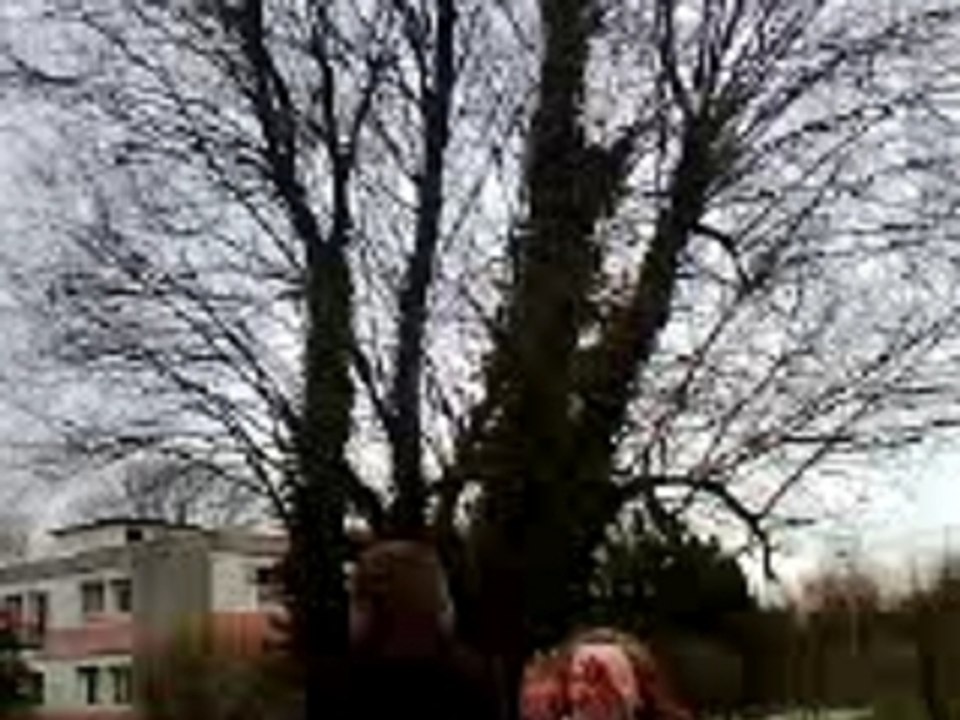 V06-03-08_11.51