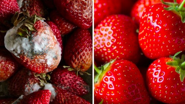 Des astuces imparables pour éviter que vos fruits pourrissent