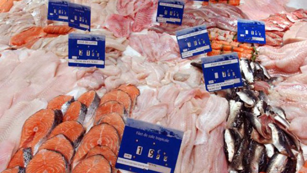 Découvrez les poissons les moins touchés par la pollution marine
