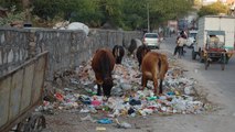 4 facteurs de pollution auxquels on ne pense pas forcément