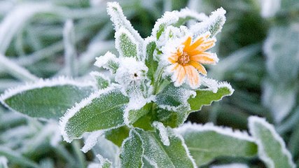 Saints de Glace : dates de 2016 et calendrier de la lune rousse