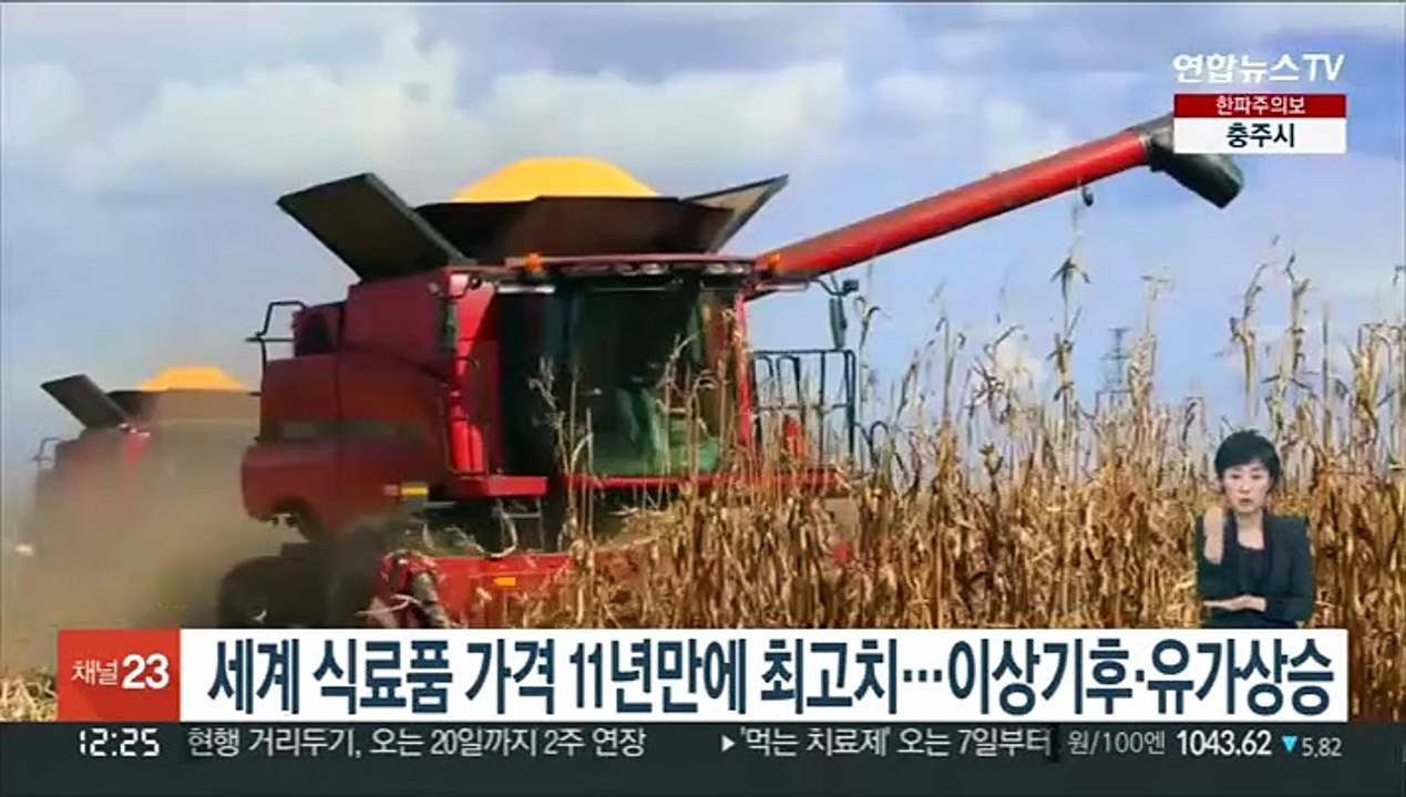 세계 식료품 가격 11년만에 최고치…이상기후·유가상승