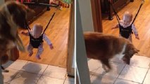 Incroyable : ce chien apprend à bébé à faire des sauts !