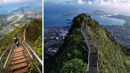 "Stairway to Heaven" : les escaliers de Haiku à Hawaï vous mènent droit au Paradis