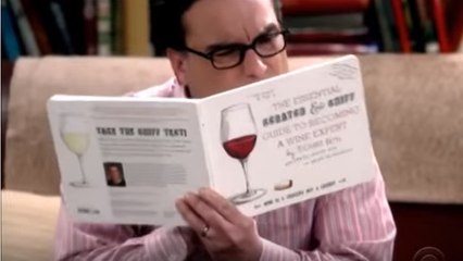 The Big Bang Theory Saison 9, Episode 22 : Résumé et teaser vidéo de l'épisode