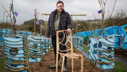 Cet homme fait pousser des chaises naturellement