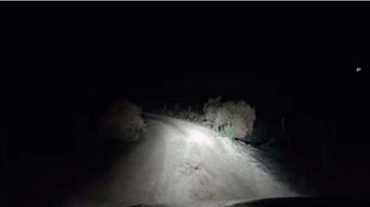 Un kangourou saute sur la voiture d'un homme en pleine nuit sur une route de campagne australienne