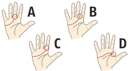 Voici ce que révèle vraiment votre ligne de cœur !