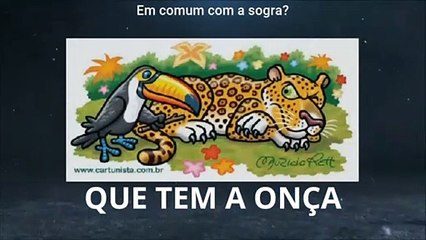 QUE TEM A ONÇA EM COMUM COM A SOGRA_, A HORA DO GERVÁSIO.( F.C.E.I.C)