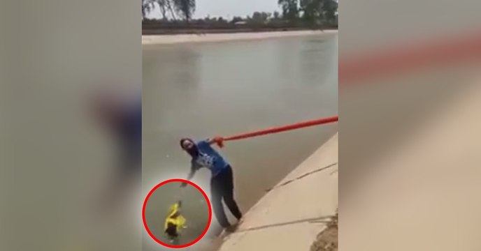 Ce pauvre chien était en train de se noyer... Mais cet homme va avoir un geste incroyable !
