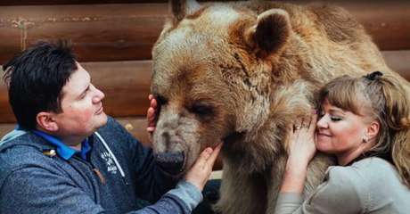 Ces deux Russes vivent avec un gros nounours de 230 kg !