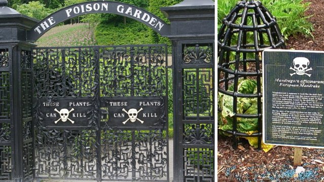 The Poison Garden : le jardin empoisonné aux 100 variétés de plantes mortelles