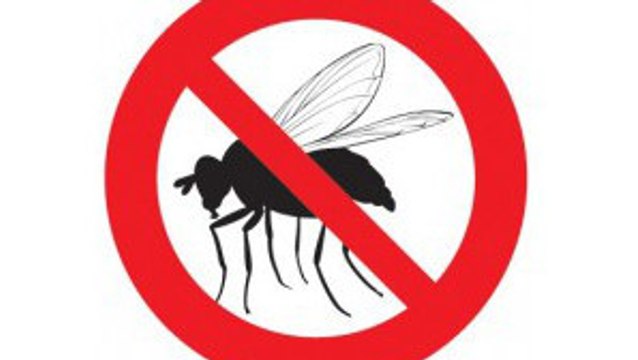 Avec cette méthode, plus aucune mouche ne vous embêtera cet été