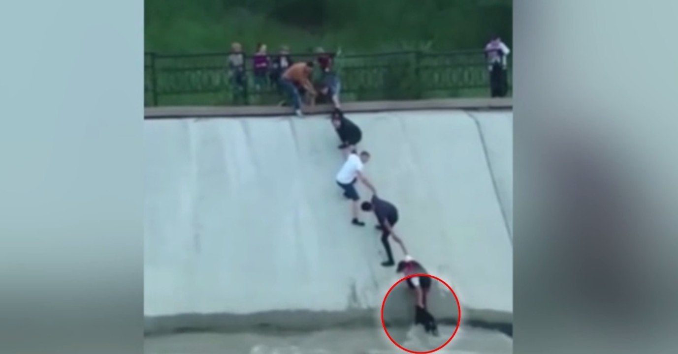 Prisonnier d'un réservoir d'eau, ce pauvre chie...