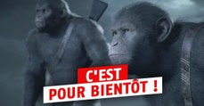 Surprise, l'excellente série Planète des Singes a le droit à son adaptation en jeu vidéo !