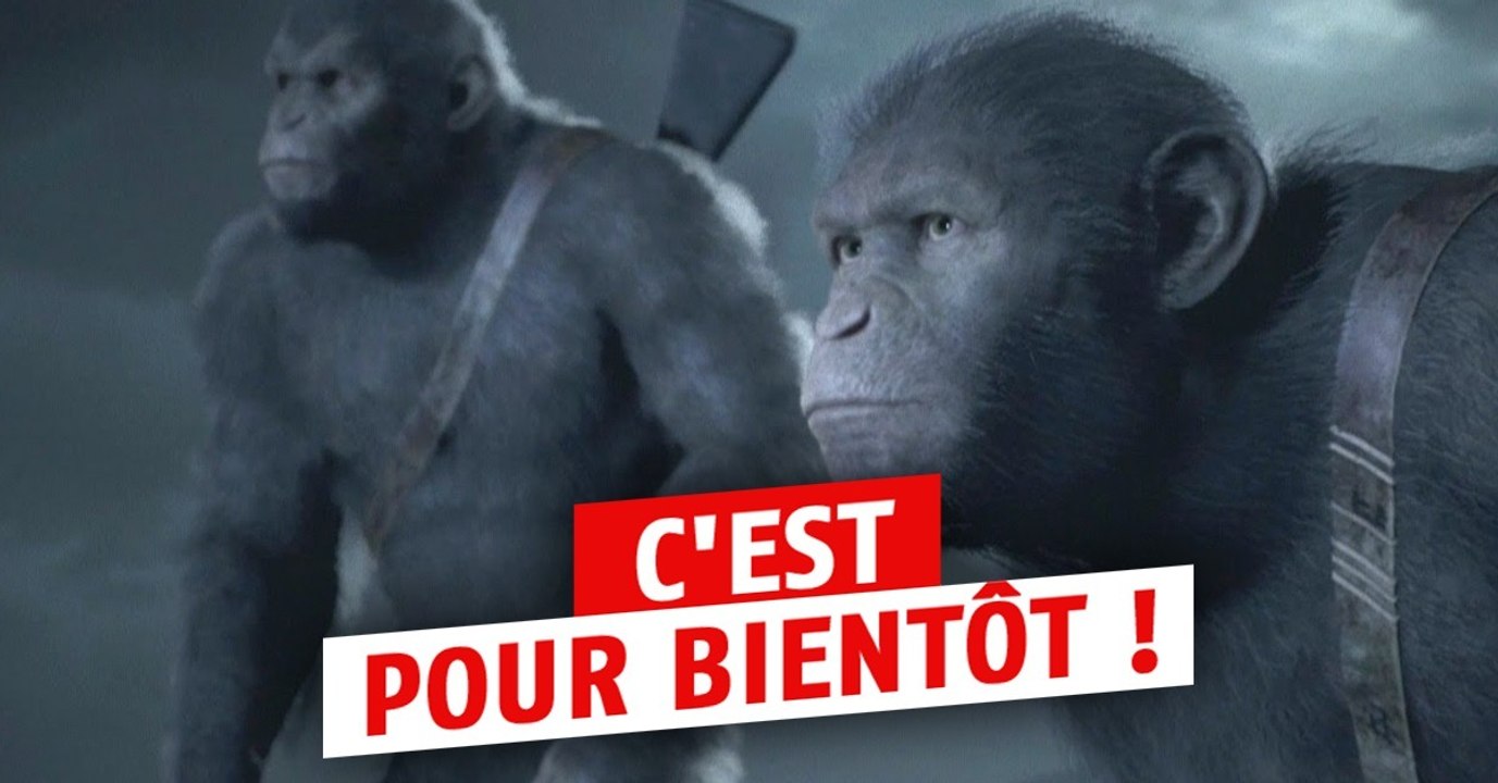 Surprise, l'excellente série Planète des Singes...