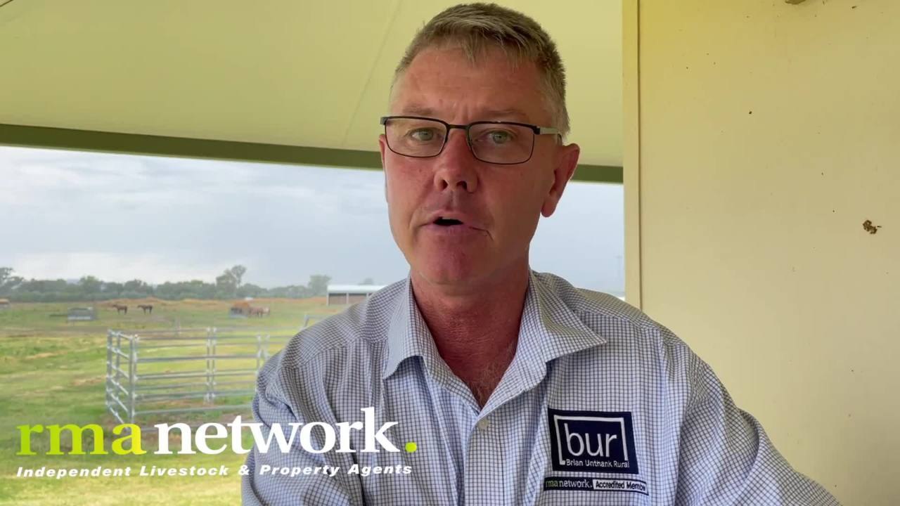 Wodonga Weaner Sale