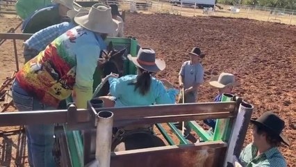 Kath McQueen riding at Quamby Bronc riding school