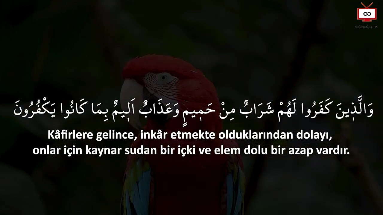 Get rid of the delusions and obsessions that poison your life by listening to this surah.