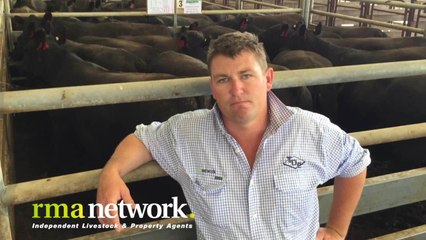 Weaner Sale: Naracoorte