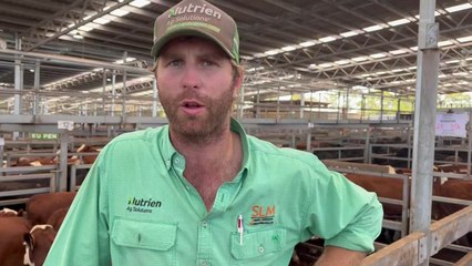 Weaner Sales Tuesday