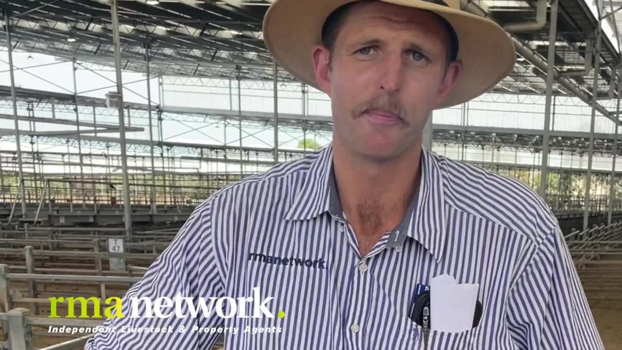 Weaner Sale: Wednesday