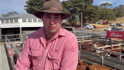 Weaner Sales: Wednesday