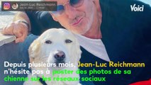 VOICI : Jean-Luc Reichmann : ses confidences sur le combat de sa chienne contre le cancer