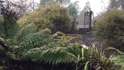 Light Oberon snow: August 4, 2021