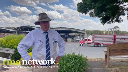 Naracoorte Weaner Sale