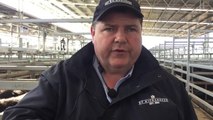 James Haddick, HF Richardson, at the Ballarat July store cattle sale