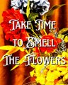 Take time to Smell the Flowers