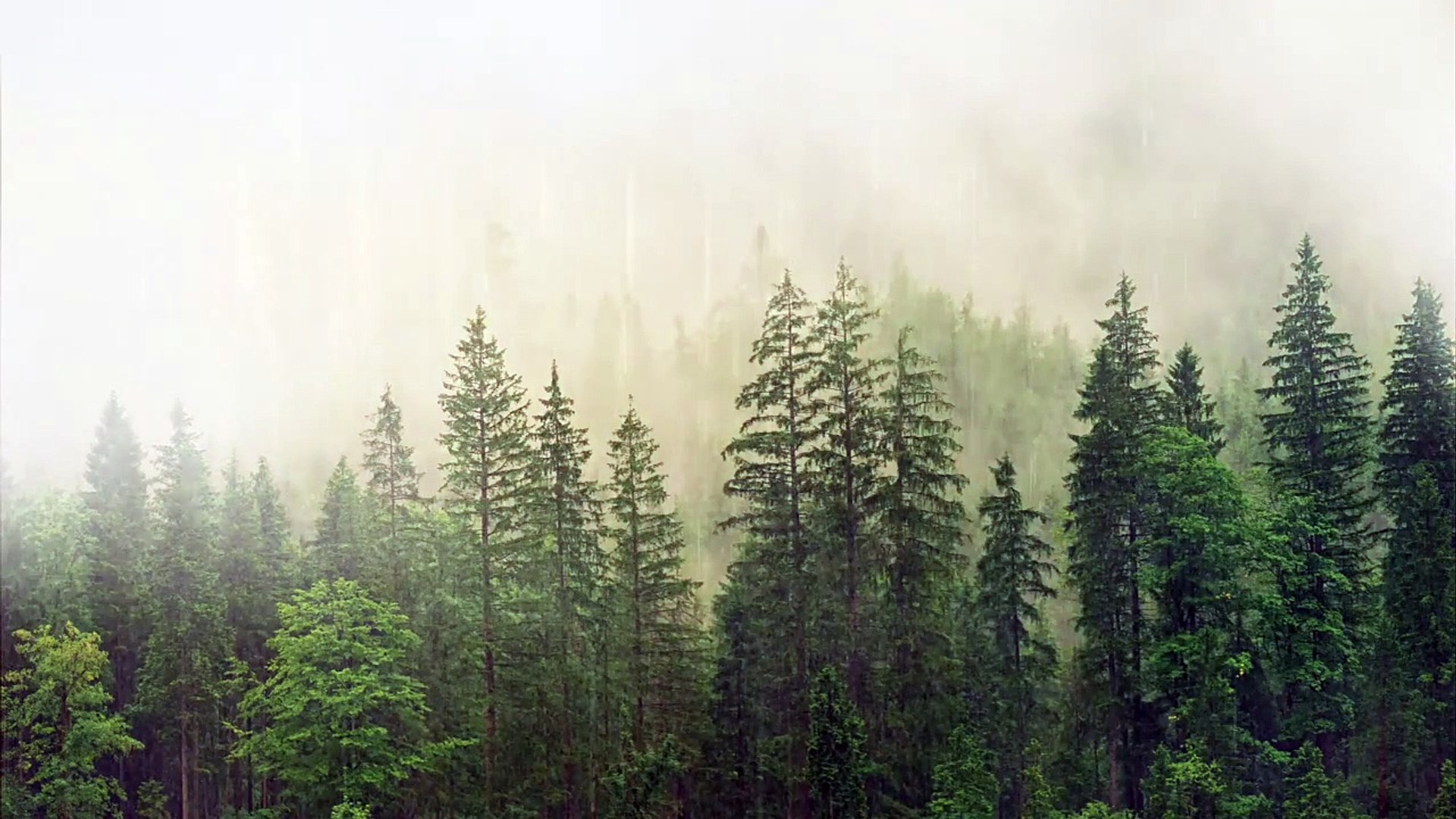 Relaxing Music & Soft Rain Sounds_ Relaxing Piano Music, Sleep Music, Peaceful Music