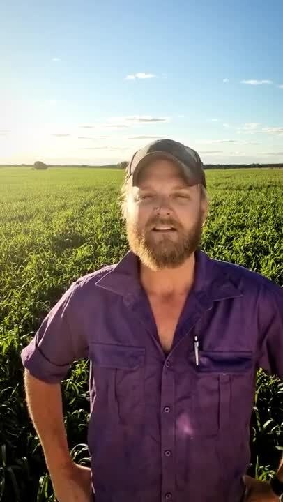 Farm Online Hear from Jake Hamilton Australian Farms