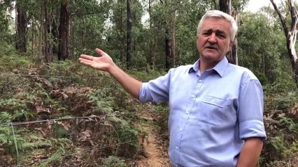 STOCK & LAND: Landholder showcases importance of fuel reduction burns