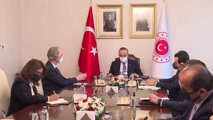 Çavuşoğlu, BM Genel Sekreteri Suriye Özel Temsilcisi  Pedersen'i kabul etti