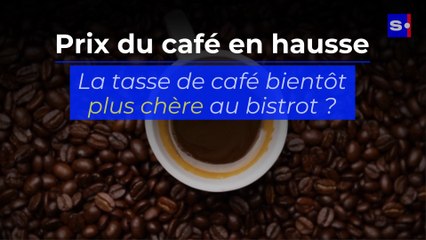 Prix du café en hausse : quel impact sur les consommateurs ?