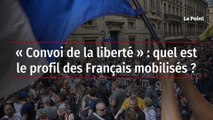 « Convoi de la liberté » : quel est le profil des Français mobilisés ?