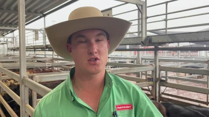 Wodonga Weaner Sale