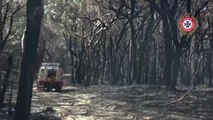 Fraser fire scorches more than half the island