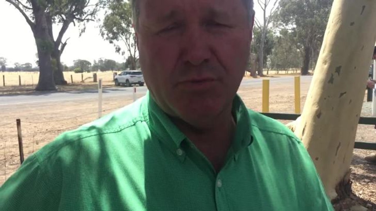 Stock & Land: Euroa blue ribbon  weaner sale