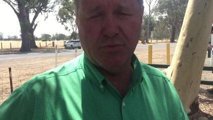 Stock & Land: Euroa blue ribbon  weaner sale