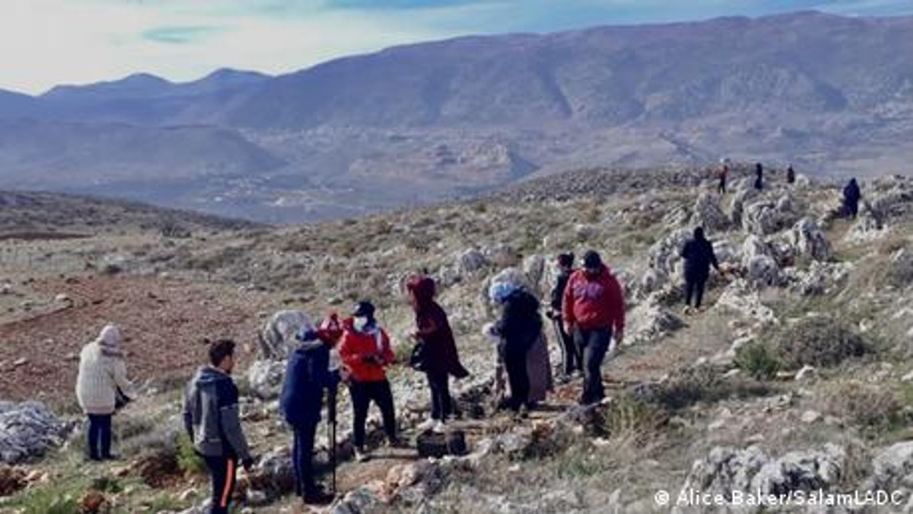 Libanon: Im Krisenstaat sollen wieder Zedern wachsen
