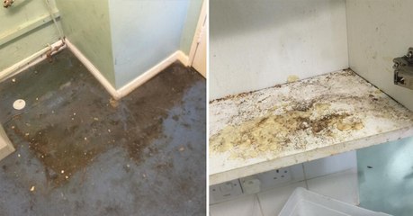 Elle change la vie de sa voisine qui vit dans un appartement en piteux état