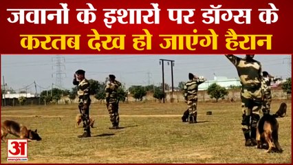 खास डॉग शो बेल्जियम शेफर्ड, जर्मन शेफर्ड के शानदार करतब | Dog Show | Border Security Force
