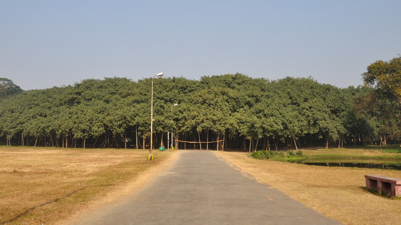 Banian de Howrah (Inde) : vieux de 250 ans, voi...