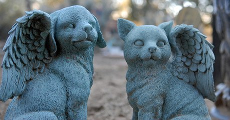 Ce sanctuaire propose une cérémonie pour rendre hommage aux animaux disparus